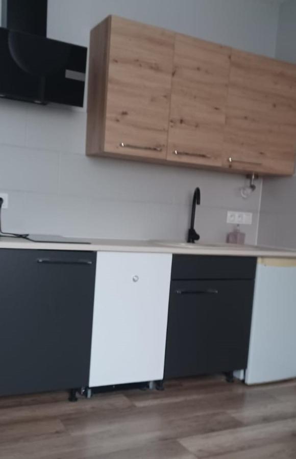 Apartamenty W Starym Kinie Swieradow-Zdroj Bagian luar foto