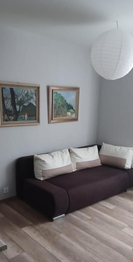 Apartamenty W Starym Kinie Swieradow-Zdroj Bagian luar foto